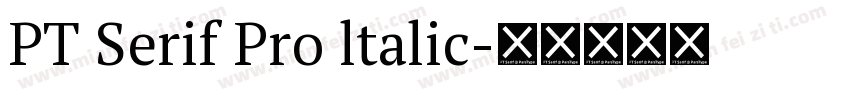 PT Serif Pro ltalic字体转换